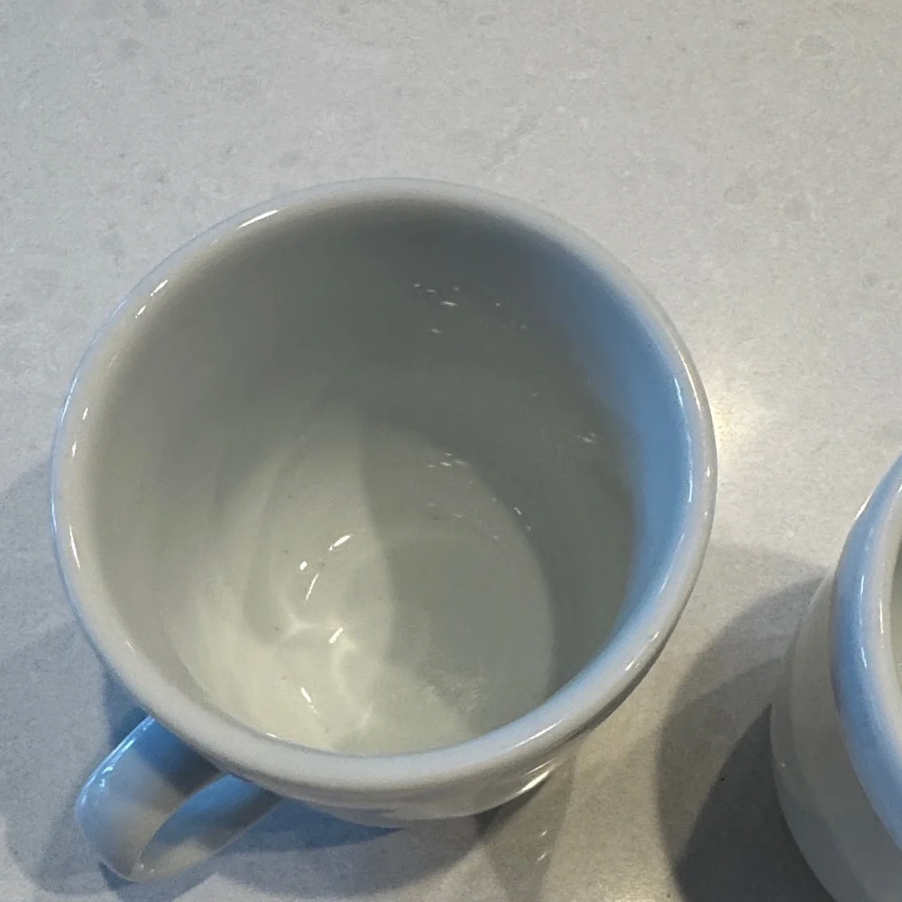 Pottery Barn Elegant Gray Mugs